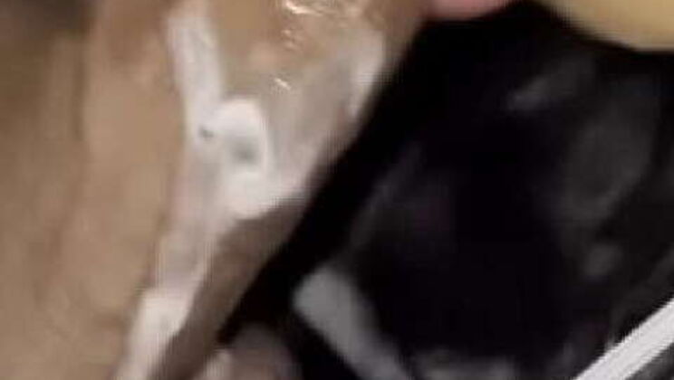 Ebony amatuer with cock-sucking lips