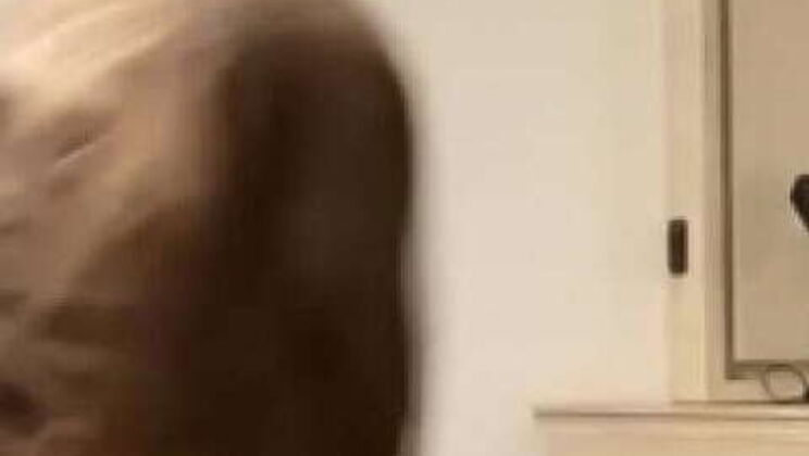 Gaktaffy rammed my mouth during my Gakworld visit