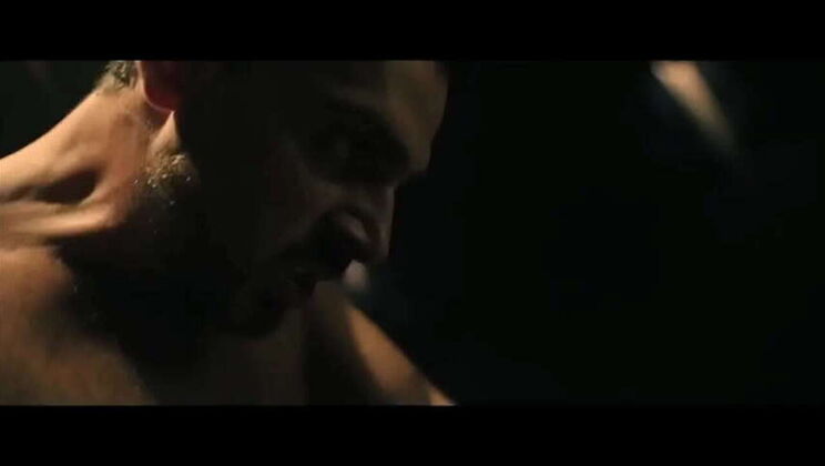 356 Days: A Year of Intimate Moments