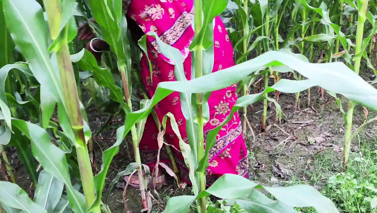 Hot Desi Bhabhi Fucked Hard Outdoor in Jungle - Fullmoti9