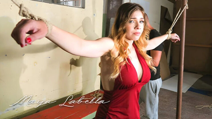 Big Tit Pornstar Maya Sun Dripping Wet for Master - BDSM Bondage & Sex Toys