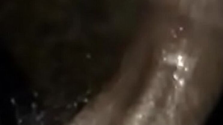 Hot Creampie Finish - Pussy Dripping Wet