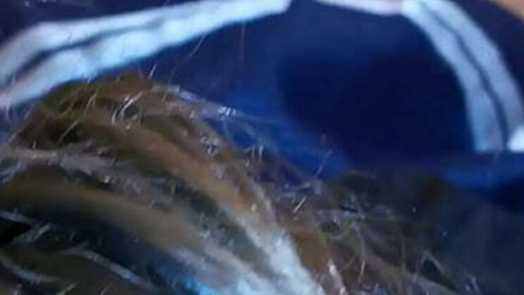 Hot Latina Student Gets A+ in Oral - Delicious Culotte Action