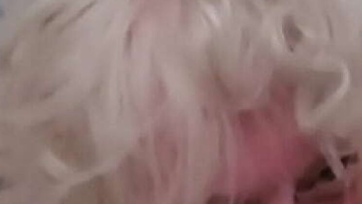 Granny deepthroats and swallows BBC