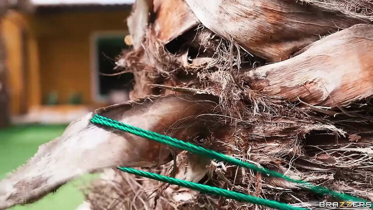 Wet Sneaky Blowjob With Sapphire Astrea And Jordi Big Cock