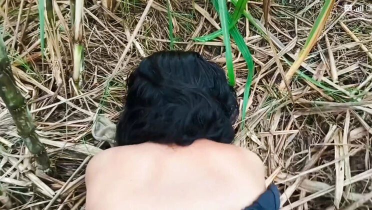 Desistepsis Indian Bhabhi Anal Sex in Sugarcane Field - Big Natural Tits Outdoor Village Fuck