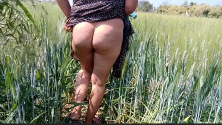 Desi Stepsister Sukunmi Gets Hard Fucking From Stepbrother In Wheat Field - Hot Village Outdoor Sex