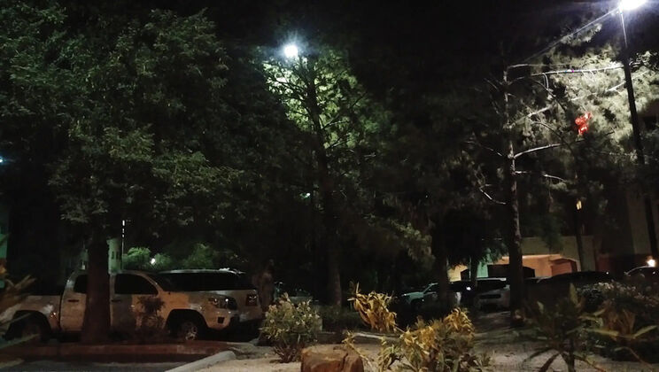 Thick BBW Wife Gives Outdoor Blowjob & Gets Doggystyle Creampie