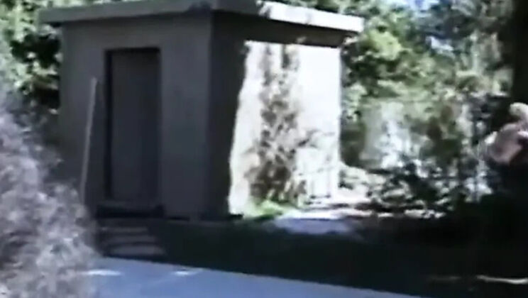 Devlin Weed's Huge Black Dick Fucking Pussy and Ass in Anal Scene