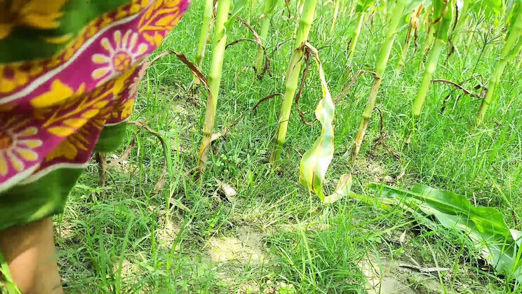 Hot Young Bhabhi Fucked Outdoor by Devar in HD Desi Video